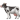 100% Gir Cow A2 Milk